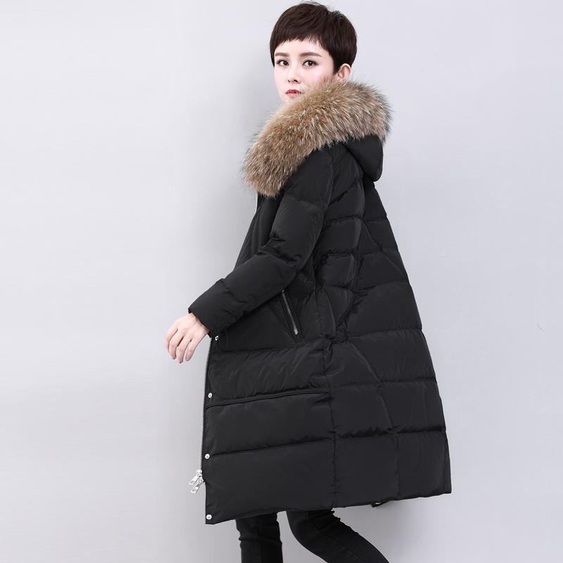 DK-WF1Y60115