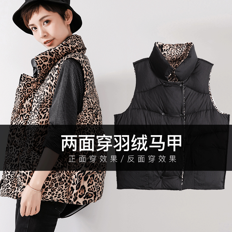 DK-WMDY81668